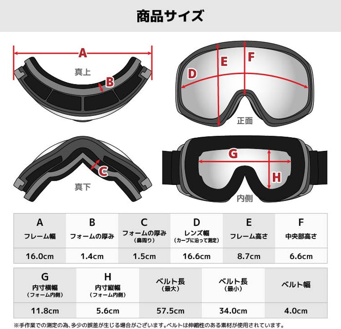 【EVOLVE Jr.】 スノーゴーグル VIGOR EVJ5824